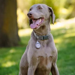 WearAbout Grey Clippable Tracker Holder