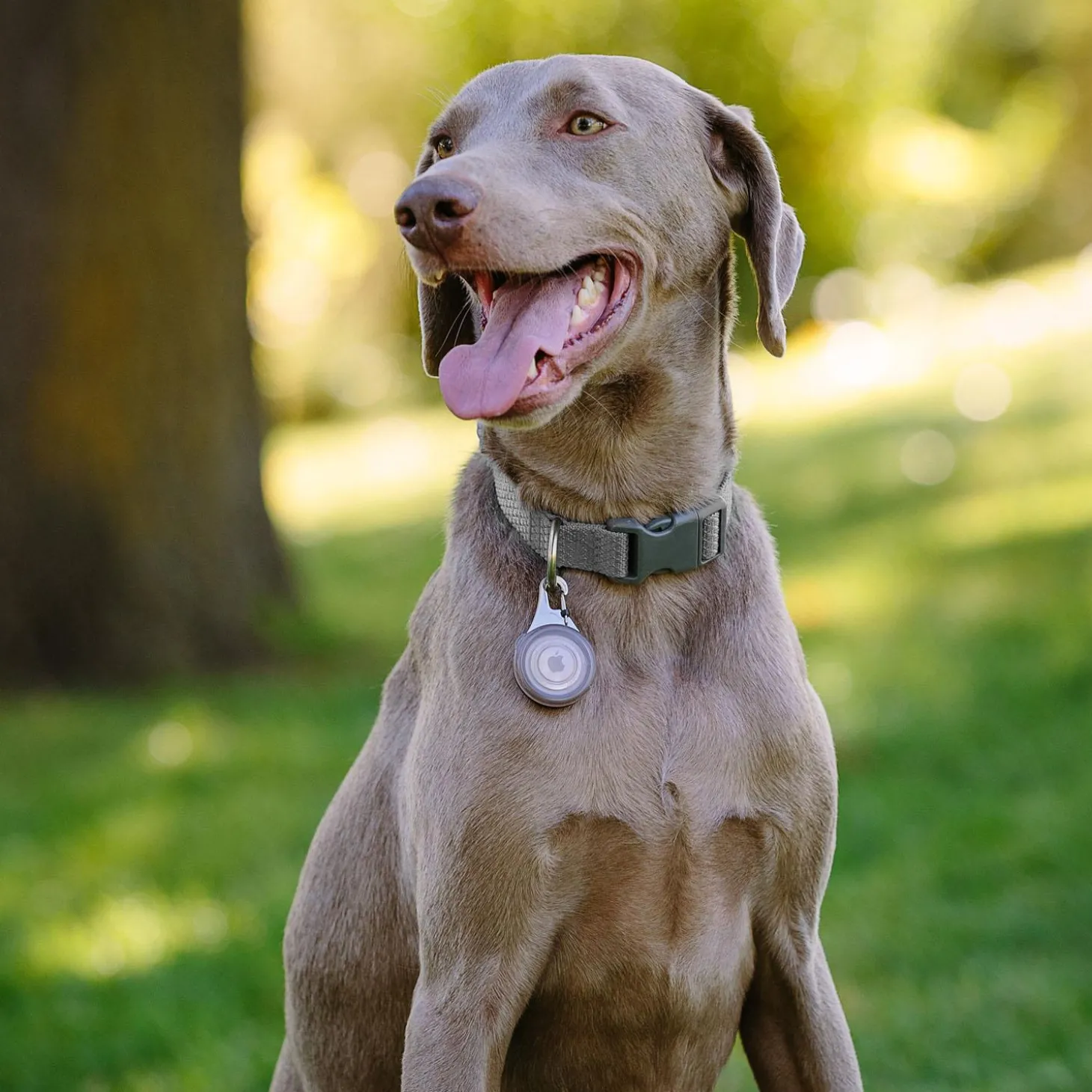 WearAbout Grey Clippable Tracker Holder