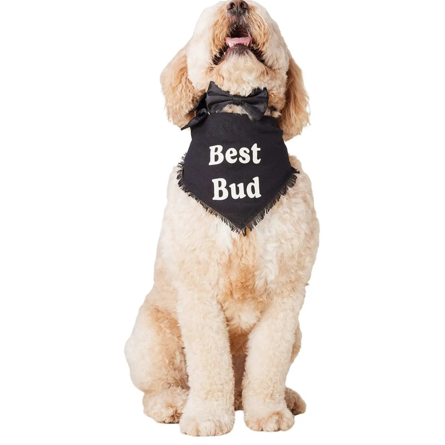 Wedding Best Bud Bandana