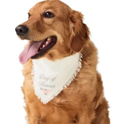 Wedding Dog of Honour Bandana