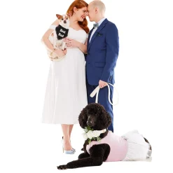 Wedding Ivory Dog Collar & Leash Set