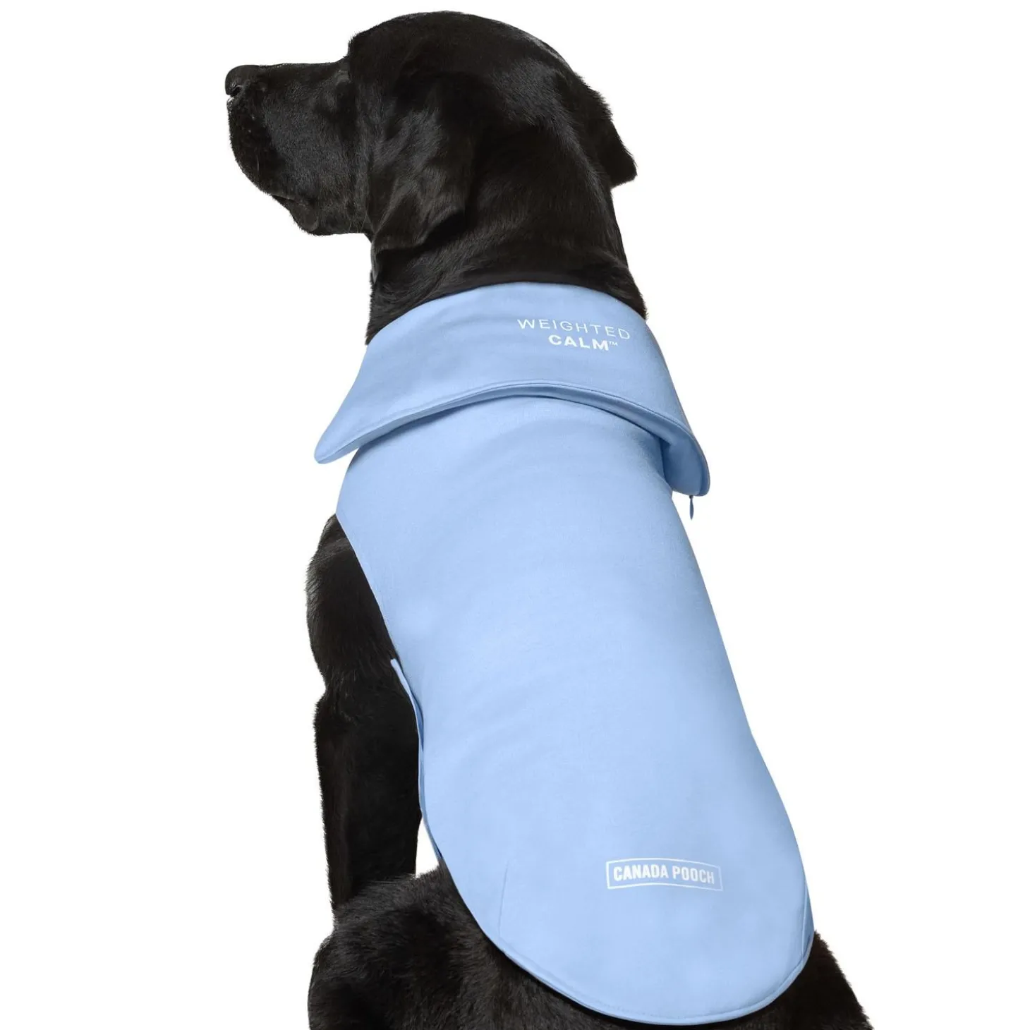 Weighted Blue Calming Vest