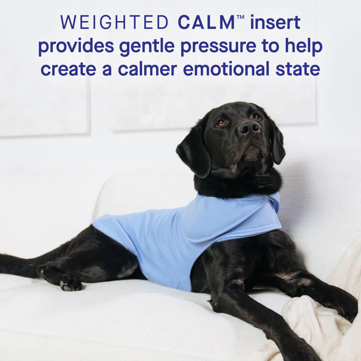 Weighted Blue Calming Vest