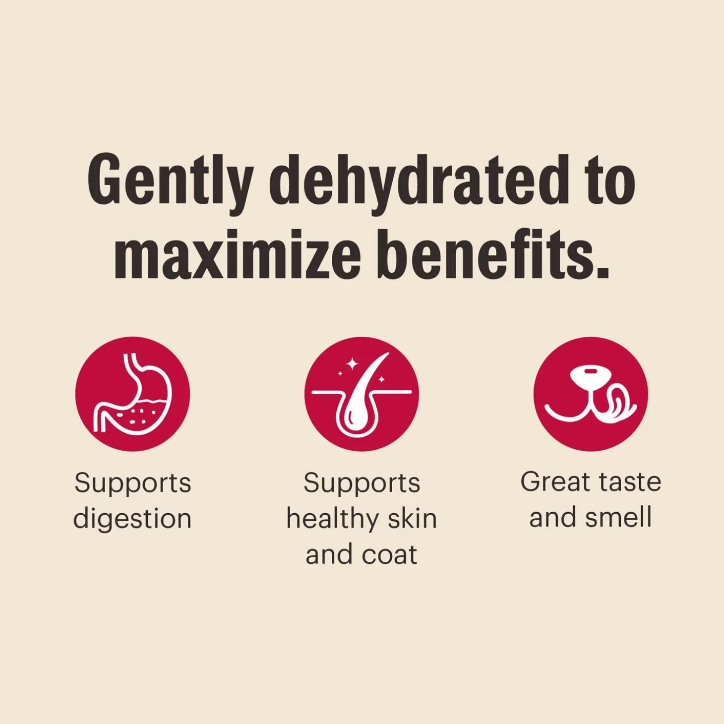 Whole Grain Turkey Recipe Adult Dog Food