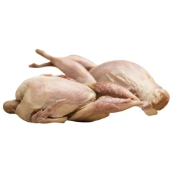 Whole Quail Dog & Cat Treats