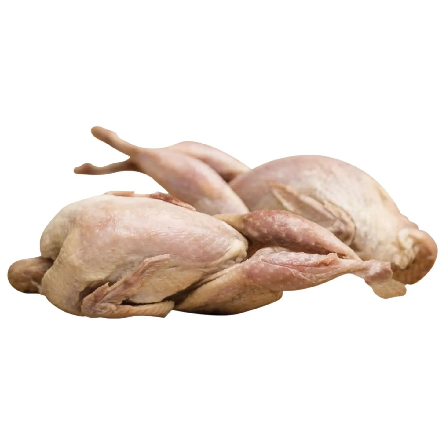 Whole Quail Dog & Cat Treats