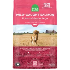 Wild-Caught Salmon & Ancient Grains Recipe Adult Dog Food