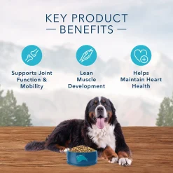 Wilderness Chicken Recipe Large Breed Adult Dog Food