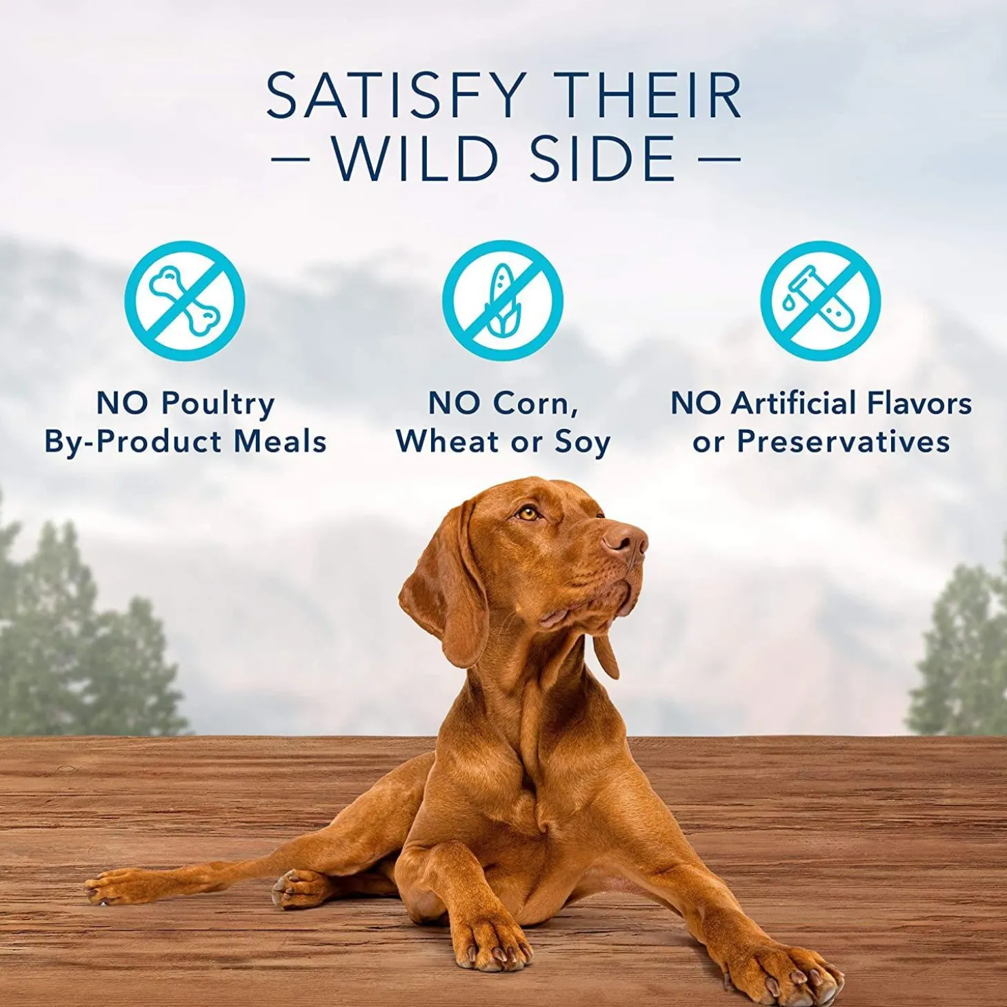 Wilderness Crunchy Trail Treats Salmon Recipe Dog Treats