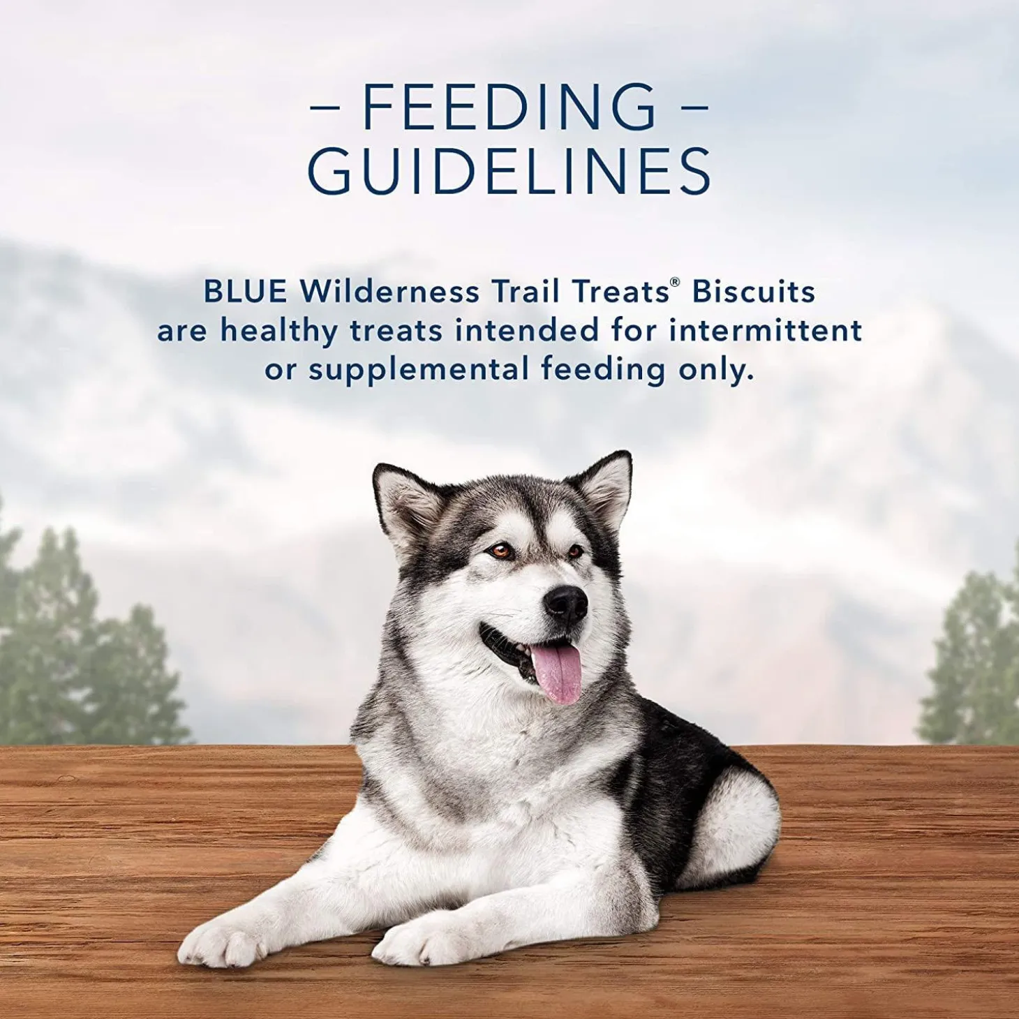 Wilderness Crunchy Trail Treats Salmon Recipe Dog Treats