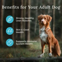 Wilderness Duck With Grain Recipe Adult Dog Food