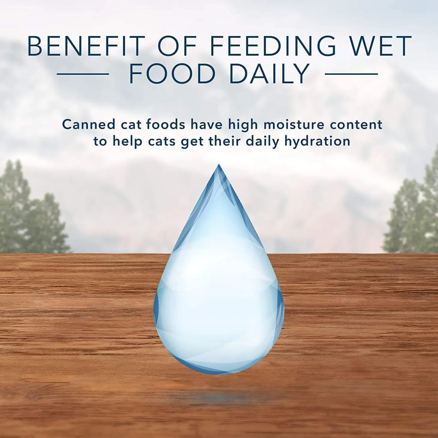 Wilderness Grain Free Salmon Recipe Adult Cat Food