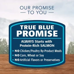 Wilderness Grain Free Salmon Recipe Adult Cat Food