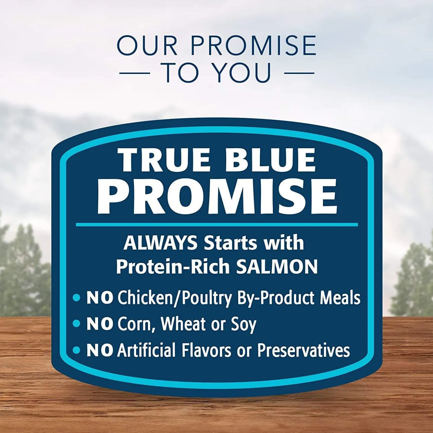 Wilderness Grain Free Salmon Recipe Adult Cat Food