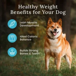 Wilderness Healthy Weight Chicken With Grain Recipe Adult Dog Food