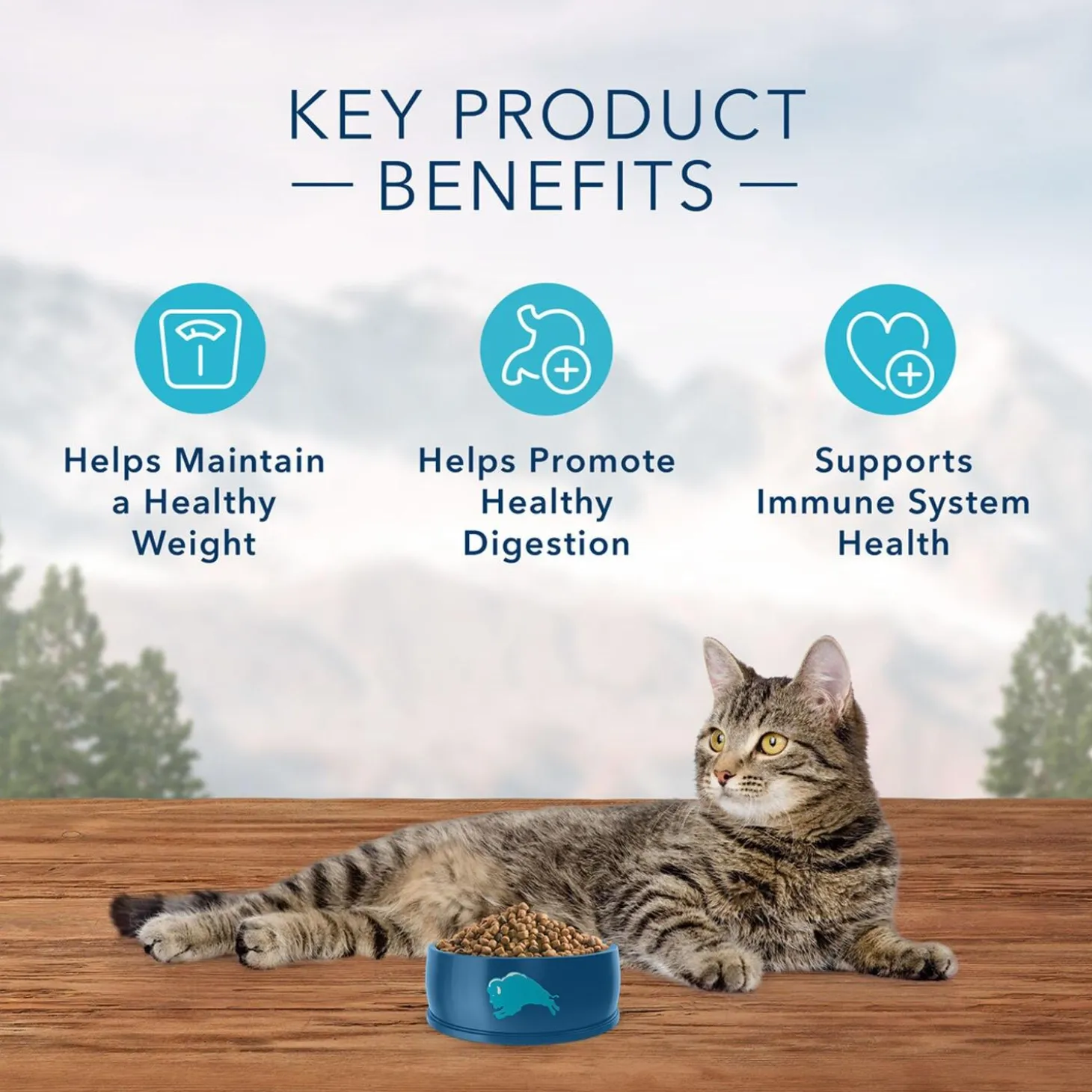 Wilderness Weight Control Chicken Recipe Adult Cat Food