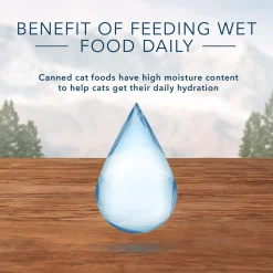 Wilderness Wild Delights Chicken & Trout Flaked Recipe Adult Cat Food