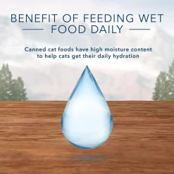 Wilderness Wild Delights Chicken & Turkey Minced Recipe Adult Cat Food