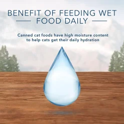 Wilderness Wild Delights Chicken & Trout Minced Recipe Adult Cat Food