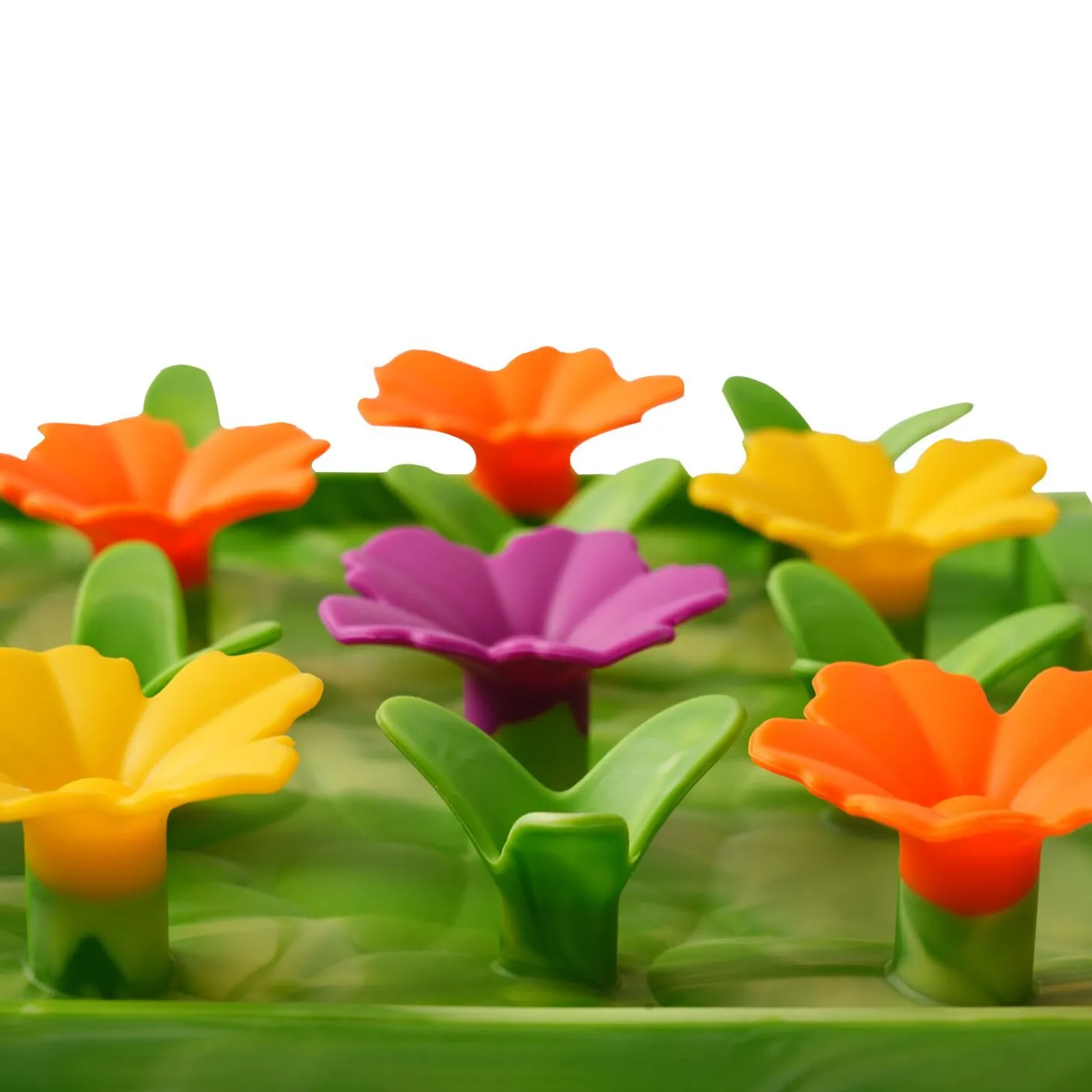 Wildflower Foraging Mat