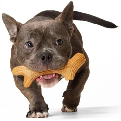 Wood Antler Dog Toy