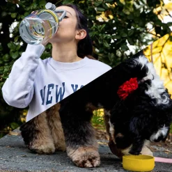 Yellow Barkley Bottle