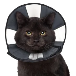 ZenCone Soft Recovery Collar
