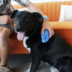 ZoomGroom Boysenberry Dog Brush