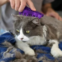 ZoomGroom Massaging Cat Brush